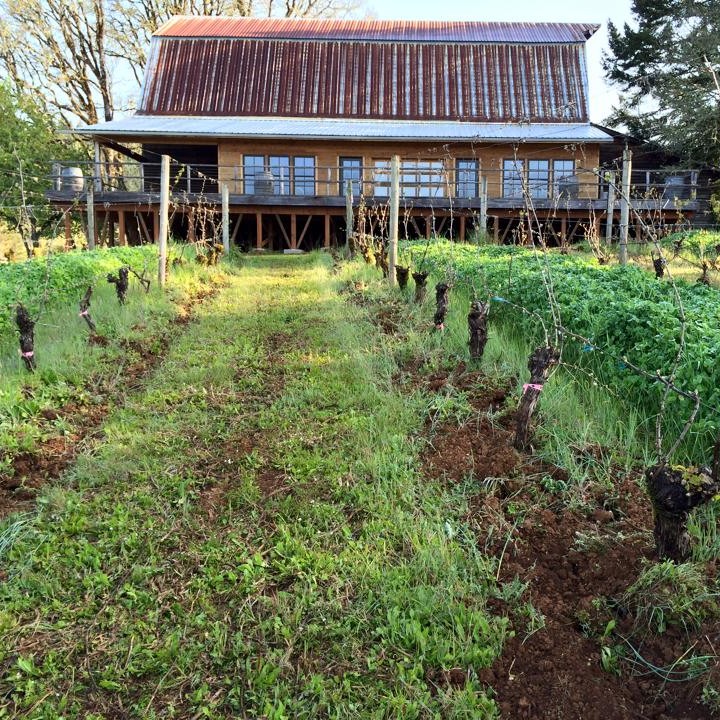 The other tasting room at Wren is The Big ol Barn | photo: Dai Crisp