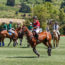 Classic Wines Auction Announces 2nd Annual Oregon Polo Classic