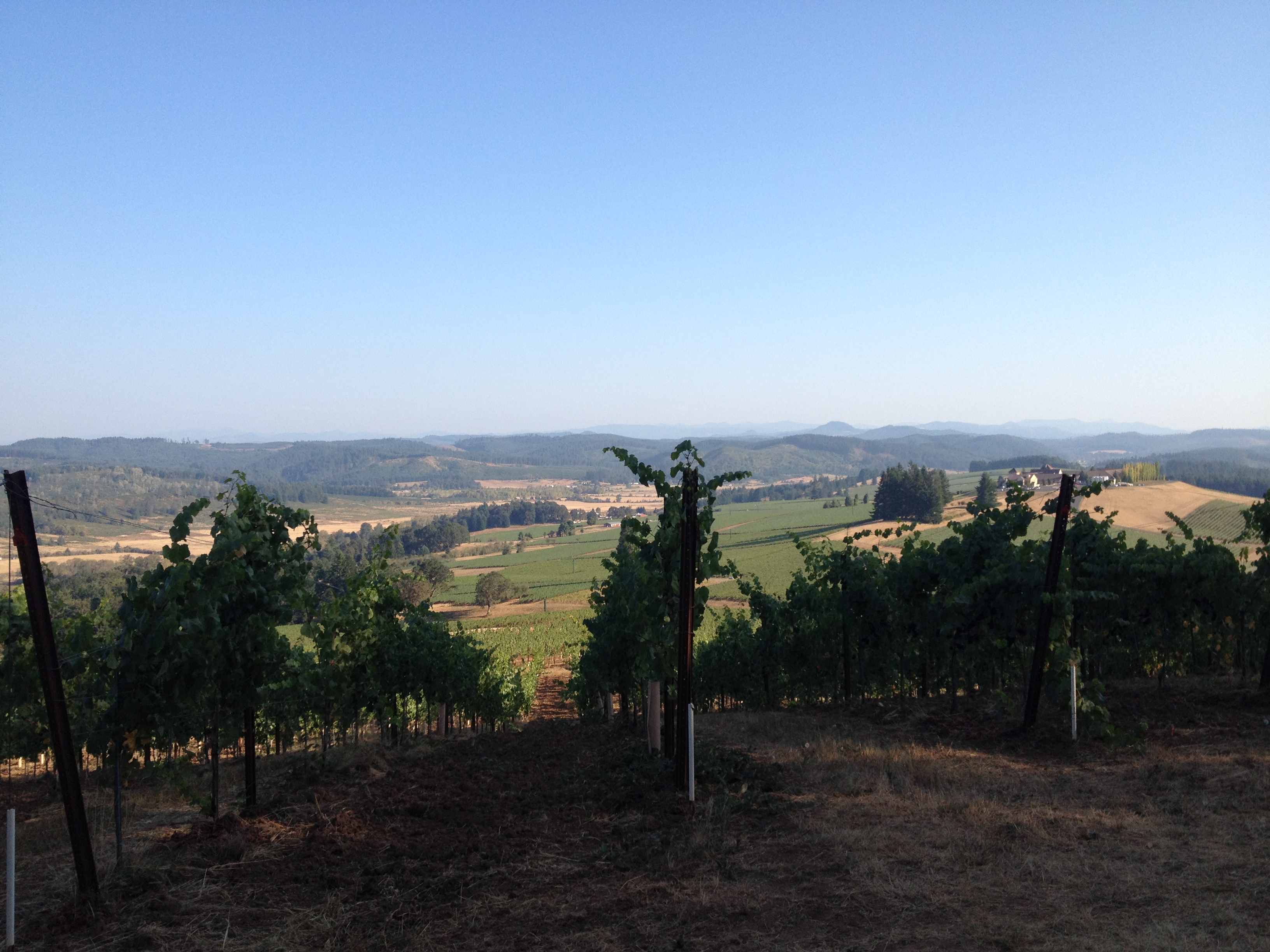 Oregon Wine Board Tour: Day 3