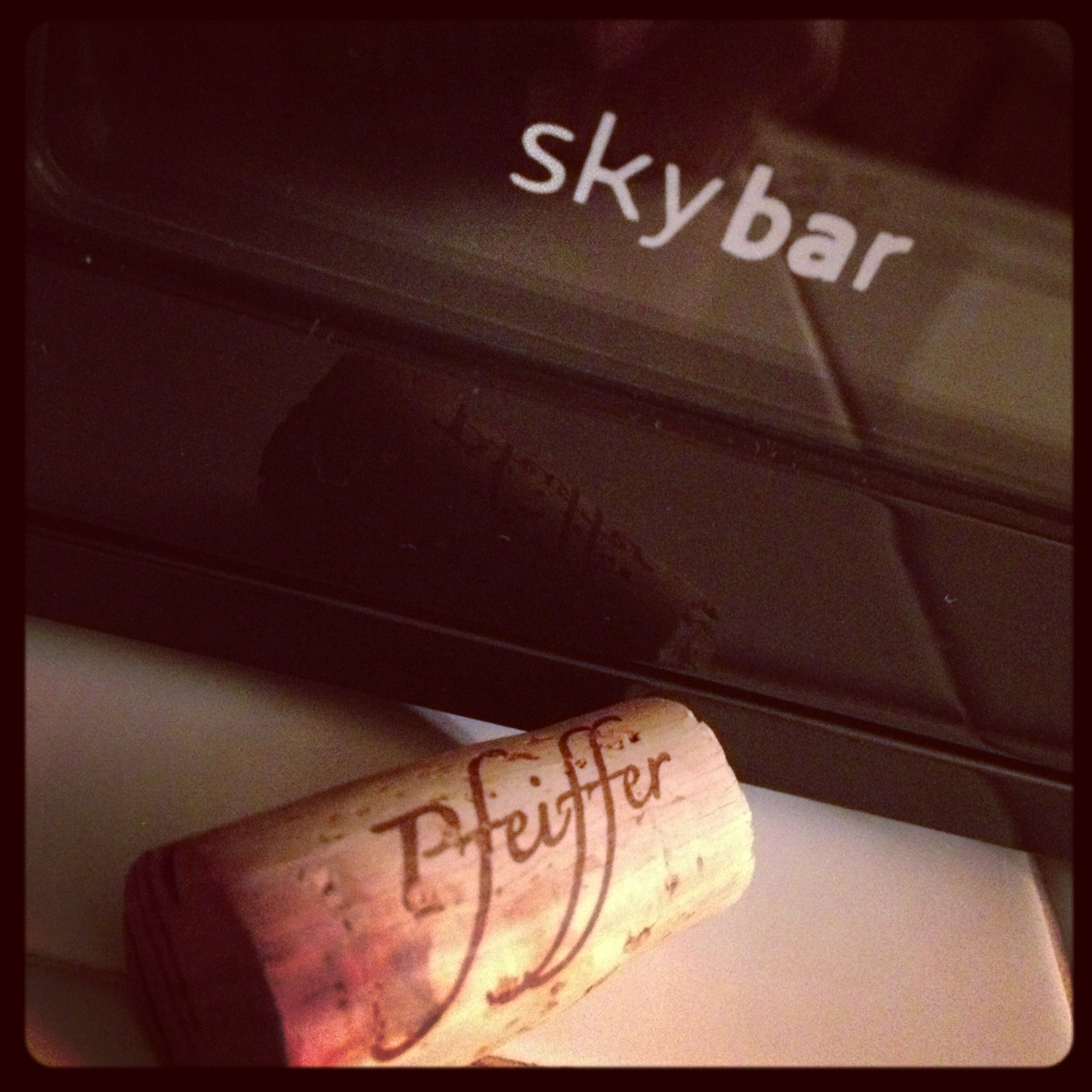 skybar™10 Day Preservation Log