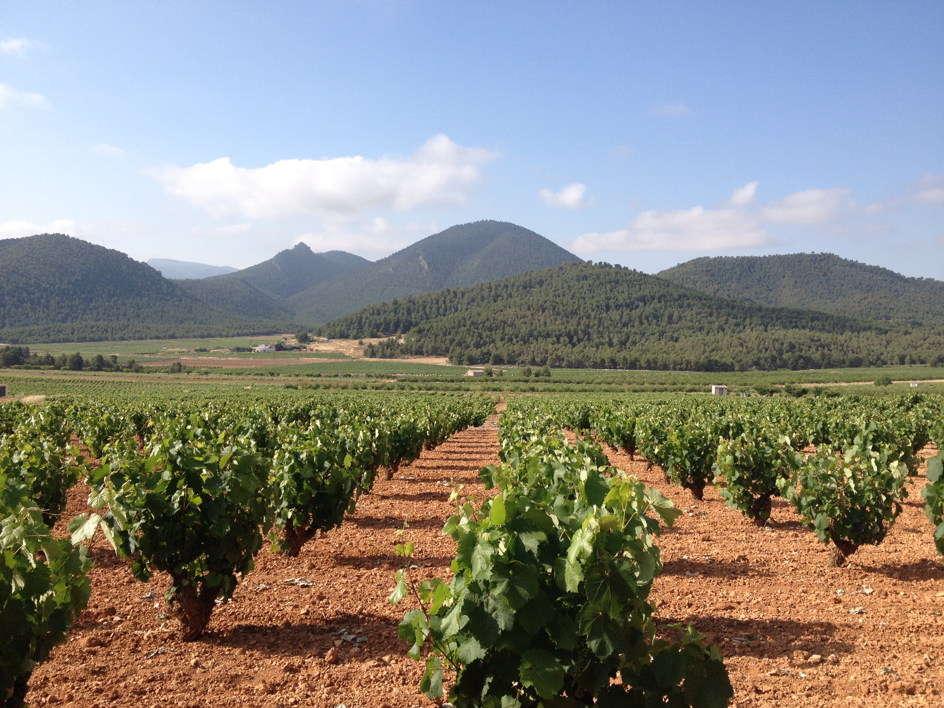 Murcia, Spain: Exploring the Land of Monastrell