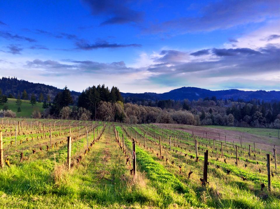 Memorial Weekend at the Wineries: The Official Kick-Off to Summer | The ...